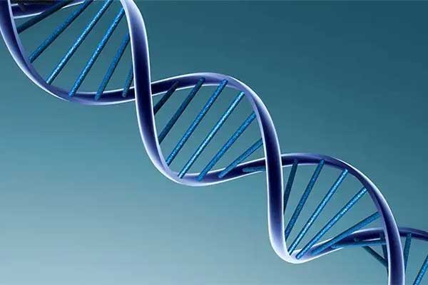 Biotechnology